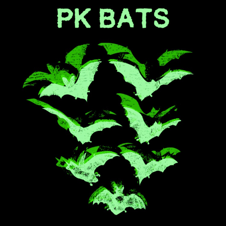 PK Bats debut album cover artwork, featuring ghostly green bats on a black background